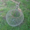 DSC06594.JPG