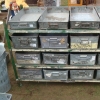 DSC05720.JPG