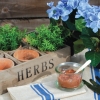 herb-box-napkin_2.jpg