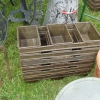 DSC06618.JPG