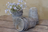 DSC09333.JPG