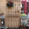 DSC06232.jpg