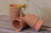 DSC09330.JPG
